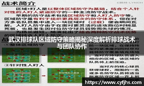 易游体育app